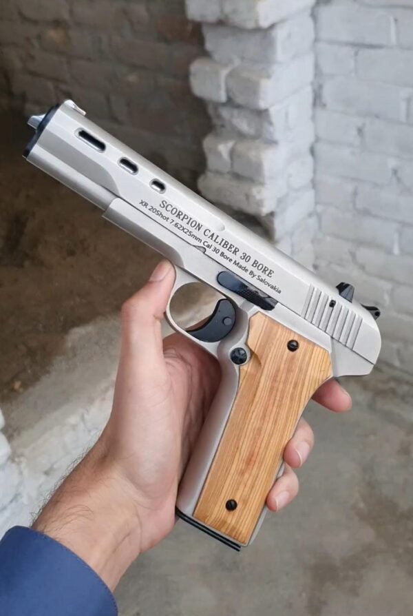 30Bore 20Shot